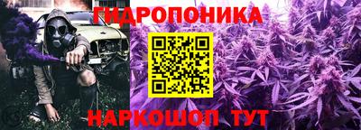 не бодяженный Кингисепп
