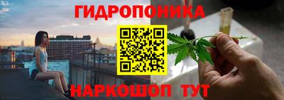не бодяженный Кингисепп